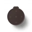 Bang & Olufsen Beosound Explore Chestnut