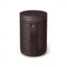 Bang & Olufsen Beosound Explore Chestnut