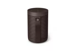 Bang & Olufsen Beosound Explore Chestnut