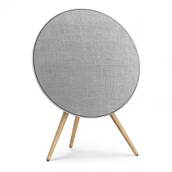 Bang & Olufsen Beosound A9 5th Generation Natural Aluminium