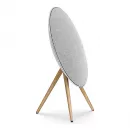 Bang & Olufsen Beosound A9 5th Generation Natural Aluminium