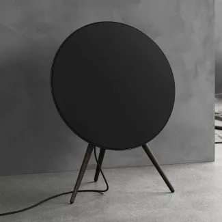 Bang & Olufsen Beosound A9 5th Generation