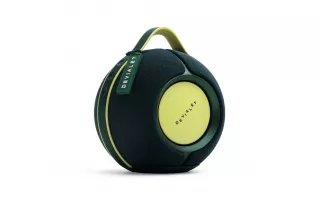 Devialet Mania Moss Green