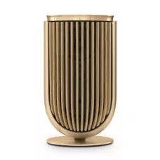 Bang & Olufsen Beolab 8 Gold Tone/Oak, TS