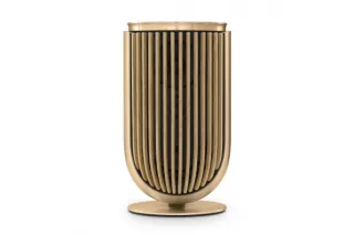 Bang & Olufsen Beolab 8 Gold Tone/Oak, TS
