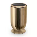Bang & Olufsen Beolab 8 Gold Tone/Oak (Table Stand) — премиальная беспроводная акустическая система