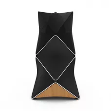Bang & Olufsen BeoLab 90 Oak, Black / Natural Aluminium