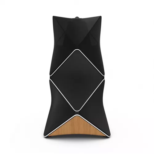 Bang & Olufsen BeoLab 90 Oak, Black / Natural Aluminium