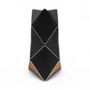 Bang & Olufsen BeoLab 90 Oak, Black / Natural Aluminium