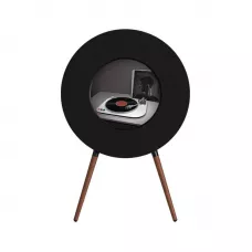 MorningBlues Record R1 Speaker