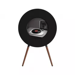 MorningBlues Record R1 Speaker