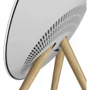 Bang & Olufsen Beosound A9 5th Generation Natural Aluminium