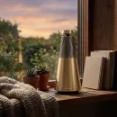 Акустическая система Bang & Olufsen Beosound 2 Gen3 Gold Tone