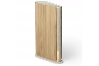 Bang & Olufsen Beosound Emerge Gold Tone