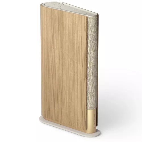 Bang & Olufsen Beosound Emerge Gold Tone 