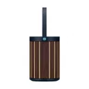Bang & Olufsen Beosound A5 Riva Edition