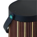 Bang & Olufsen Beosound A5 Riva Edition