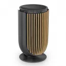Bang & Olufsen Beolab 8 Black Anthracite/Oak (Table Stand) — премиальная беспроводная акустическая система