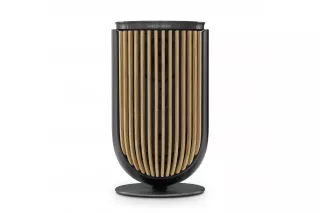 Bang & Olufsen Beolab 8 Black Anthracite/Oak, TS